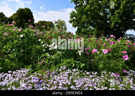 I cesti decorativi in diversi colori si incanalano alla luce del sole Foto Stock