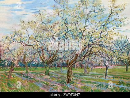 The White Orchard, Vincent van Gogh, 1888, Foto Stock