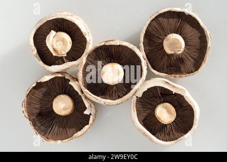 Funghi biologici Portobello spore, cappellini e gambi. Funghi Portobello freschi sani crudi pronti da cuocere, funghi piatti Foto Stock