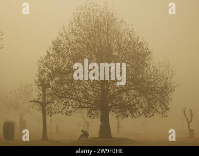 Srinagar, India. 27 dicembre 2023. 27 dicembre 2023, Srinagar Kashmir, India: Un uomo siede vicino a un albero di chinar in mezzo alla nebbia pesante di Srinagar. Nella valle del Kashmir continuano a prevalere forti ondate di freddo e nebbia. Il 27 dicembre 2023, Srinagar Kashmir, India. (Foto di Firdous Nazir/Eyepix Group) credito: Eyepix Group/Alamy Live News Foto Stock
