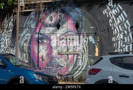 Graffiti, pareti, Banksy, vernice spray, spazi pubblici, colorato, satirico, etichetta, verniciato a spruzzo, stencil, arte murale, dipinta, arte murale, porte di garage, faccia Foto Stock