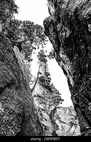 L'erosione costiera ha creato affioramenti di pietra "vaso di fiori" che i turisti possono passeggiare con la bassa marea nell'Hopewell Rocks Provincial Park nel New Brunswick. Foto Stock