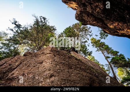 L'erosione costiera ha creato affioramenti di pietra "vaso di fiori" che i turisti possono passeggiare con la bassa marea nell'Hopewell Rocks Provincial Park nel New Brunswick. Foto Stock