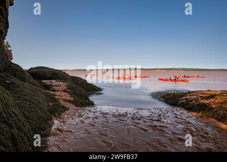 L'erosione costiera ha creato affioramenti di pietra "vaso di fiori" che i turisti possono passeggiare con la bassa marea nell'Hopewell Rocks Provincial Park nel New Brunswick. Foto Stock