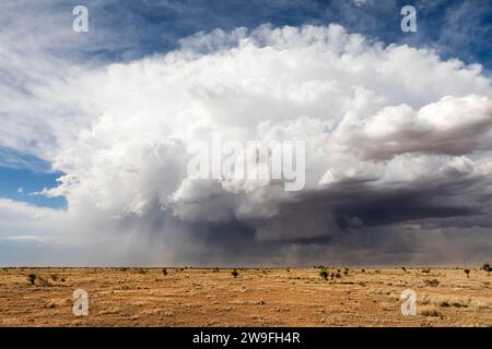 Supercell thunderstorm cumulonimbus con nuvole murali vicino a Roswell, New Mexico Foto Stock