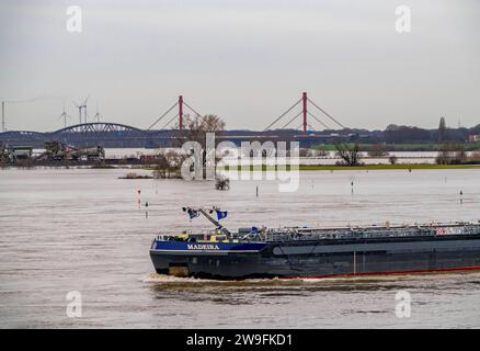 Hochwasser am Rhein bei Duisburg, Blick von Ruhrort nach Norden, über die Rheinwiesen von Duisburg-Homberg, zur Autobahnbrücke der A42, zwischen Duisburg-Baerl und Duisburg-Beeckerwerht, Frachtschiff, vom Hochwasser umspült, NRW, Deutschland, Hochwasser Rhein *** inondazione sul Reno vicino a Duisburg, vista da Ruhrort a nord, sui prati del Reno di Duisburg Homberg, fino al ponte autostradale della A42, tra Duisburg Baerl e Duisburg Beeckerwerht, nave da carico, lavata dall'inondazione, NRW, Germania, inondazione del Reno Foto Stock