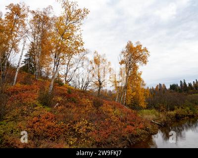 Splendidi colori autunnali o autunnali lungo il fiume Gooseberry nel Gooseberry Falls State Park, Minnesota, Foto Stock