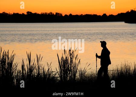 Batterson Park Pond alba con tifa, Batterson Park Pond State barca lancio di New Britain, Connecticut Foto Stock