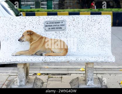 Il moderno lungomare di Worli, Mumbai, India. Foto Stock