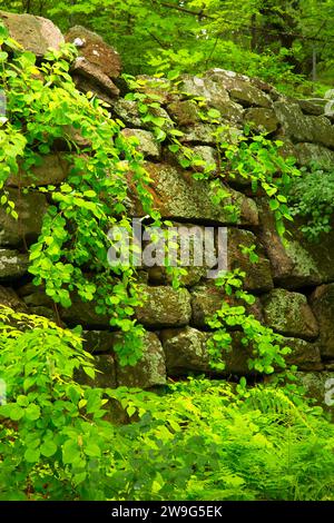 Parete perimetrale, vecchia prigione New-Gate & miniera di rame di preservare archeologico, Connecticut Foto Stock