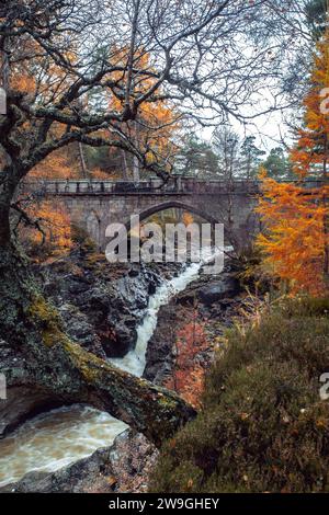 Linn of Dee Falls in autunno vicino a Braemar , Aberdeenshire , Scozia. Foto Stock