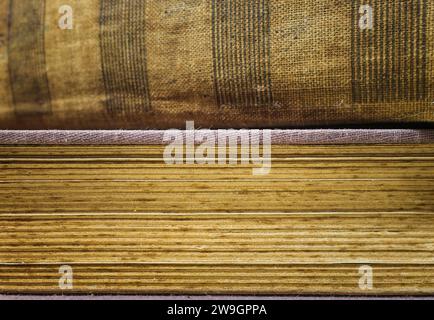 Vista macrofotografica delle pagine e del dorso dei vecchi libri, con poca profondità di campo e molta texture. Foto Stock