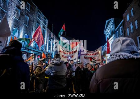 Dublino, Irlanda. 15 novembre 2023. Una folla di manifestanti tiene bandiere e striscioni in solidarietà con la Palestina durante la manifestazione. I manifestanti si radunano davanti al Parlamento irlandese a Dublino in solidarietà con la Palestina e chiedono l'espulsione dell'ambasciatore israeliano dal paese. (Foto di Maria Giulia Molinaro vitale/SOPA Images/Sipa USA) credito: SIPA USA/Alamy Live News Foto Stock