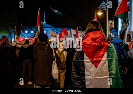 Dublino, Irlanda. 15 novembre 2023. Un manifestante viene visto con la bandiera palestinese addossata sulle spalle durante la manifestazione. I manifestanti si radunano davanti al Parlamento irlandese a Dublino in solidarietà con la Palestina e chiedono l'espulsione dell'ambasciatore israeliano dal paese. (Foto di Maria Giulia Molinaro vitale/SOPA Images/Sipa USA) credito: SIPA USA/Alamy Live News Foto Stock