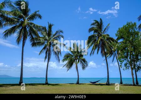 Un uomo che si rilassa in un'amaca con vista sul Mar dei Coralli e Snapper Island dal Rex Smeal Park a Port Douglas, Queensland, Australia Foto Stock