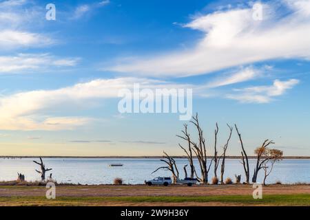 Lago Bonney con ceppi di alberi morti in acqua al tramonto, Barmera, Australia meridionale Foto Stock