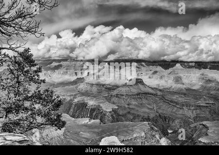 Nuvole tempestose si accumulano sul Grand Canyon nel Parco Nazionale del Grand Canyon in Arizona. Foto Stock