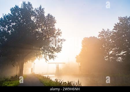 Questa immagine presenta una vista da sogno dove un sentiero asfaltato si snoda accanto a un fiume, entrambi avvolti da una radiosa nebbia mattutina. Gli alberi, pieni e lussureggianti, si stagliano sulla sinistra, i loro contorni addolciti dalla nebbia luminosa. La luce del sole irrompe attraverso la foschia, creando un contrasto vivido di ombre e luci che giocano in tutta la scena. Una panchina sotto l'albero suggerisce un luogo perfetto per la contemplazione. Sullo sfondo, un piccolo ponte sul fiume aggiunge un tocco caratteristico al paesaggio pastorale. L'effetto complessivo è una tranquilla passeggiata mattutina quasi eterea, invitante e piena di quiete meraviglia. Foto Stock