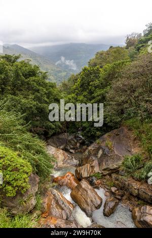 Cascata nella Hill Country, Sri Lanka Foto Stock