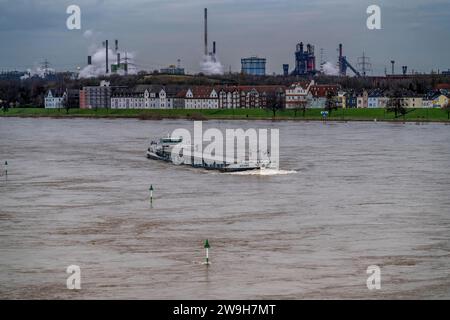 Frachtschiff auf dem Rhein bei Duisburg-Laar, Häuser an der Deichstrasse, Industriekulisse des ThyssenKrupp Steel Stahlwerk a Bruckhausen, Hochwasser, NRW, Deutschland, Binnenschifffahrt *** nave da carico sul Reno vicino a Duisburg Laar, case sulla Deichstrasse, RW sfondo industriale della ThyssenKrupp Inland Steel, Nhausen, navigazione interna, Nhausen, Nhausen, Nhausen, Nhausen, Nhausen, Nhausen, navigazione Foto Stock