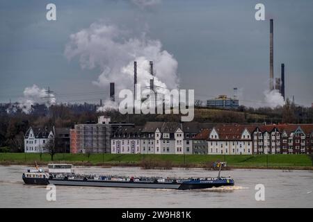 Frachtschiff auf dem Rhein bei Duisburg-Laar, Häuser an der Deichstrasse, Industriekulisse des ThyssenKrupp Steel Stahlwerk a Bruckhausen, Hochwasser, NRW, Deutschland, Binnenschifffahrt *** nave da carico sul Reno vicino a Duisburg Laar, case sulla Deichstrasse, RW sfondo industriale della ThyssenKrupp Inland Steel, Nhausen, navigazione interna, Nhausen, Nhausen, Nhausen, Nhausen, Nhausen, Nhausen, navigazione Foto Stock