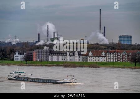 Frachtschiff auf dem Rhein bei Duisburg-Laar, Häuser an der Deichstrasse, Industriekulisse des ThyssenKrupp Steel Stahlwerk a Bruckhausen, Hochwasser, NRW, Deutschland, Binnenschifffahrt *** nave da carico sul Reno vicino a Duisburg Laar, case sulla Deichstrasse, RW sfondo industriale della ThyssenKrupp Inland Steel, Nhausen, navigazione interna, Nhausen, Nhausen, Nhausen, Nhausen, Nhausen, Nhausen, navigazione Foto Stock