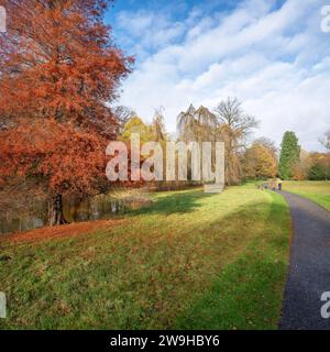 passeggiate di coppia nel colorato parco autunnale vicino a utrecht nei paesi bassi sotto il cielo blu in autunno Foto Stock