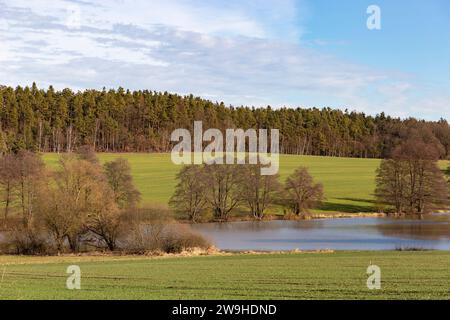 Terre della Boemia meridionale con campi, foreste e laghi, primavera. Repubblica Ceca. Foto Stock