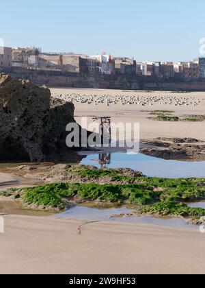 Moto che si riflette in una piscina di marea accanto alle rocce su una spiaggia sabbiosa con la Medina alle spalle di Essaouira, Marocco. 28 dicembre 2023 Foto Stock