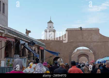 Il cane si erge su un tetto osservando il caos della vivace strada principale della Medina con arco nella città di Essaouira, in Marocco. 28 dicembre 2023 Foto Stock