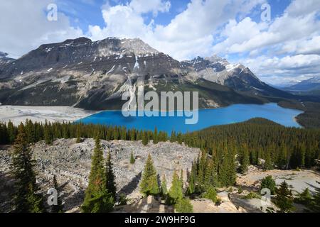 Vista sul lago Peyto, un'unica via d'acqua alimentata da ghiacciai con il Caldron Peak che svetta sopra nel Parco Nazionale di Yoho, Alberta, Canada Foto Stock