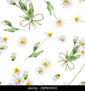 Motivo ad acquerello senza cuciture con illustrazione di fiori a margherita bianchi isolati su sfondo bianco. Camomilla. Dettaglio dei prodotti di bellezza e del set di botanica, c Foto Stock