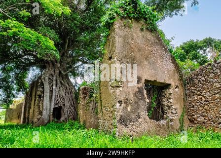 Rovine storiche di Trocha Mariel Majana, Cuba Foto Stock