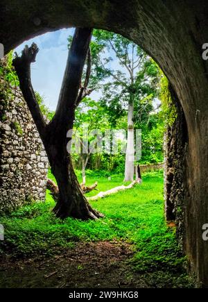 Rovine storiche di Trocha Mariel Majana, Cuba Foto Stock