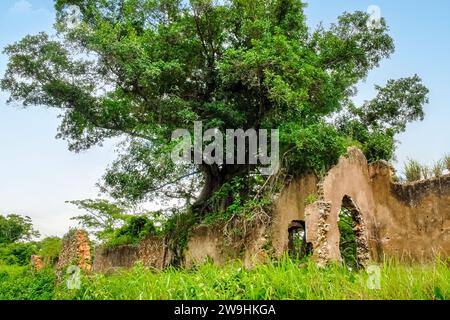 Rovine storiche di Trocha Mariel Majana, Cuba Foto Stock