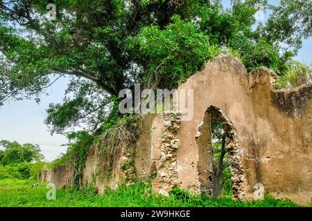 Rovine storiche di Trocha Mariel Majana, Cuba Foto Stock