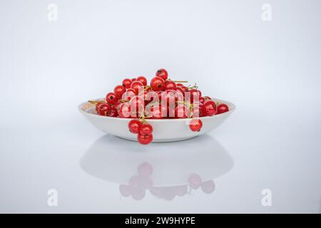 Bacche di ribes rosso in un piattino su sfondo bianco con riflesso Foto Stock