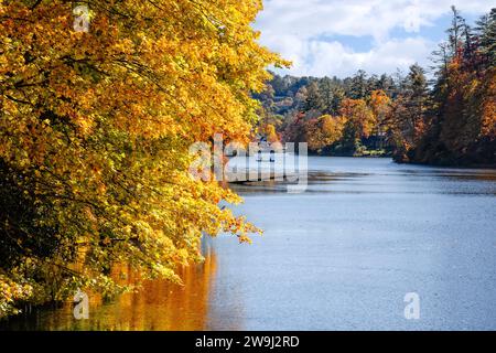 Il fiume Cullasaja, parte della Nantahala National Forest e parte della Mountain Waters Scenic Byway nella Carolina del Nord. Foto Stock