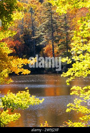 Il fiume Cullasaja, parte della Nantahala National Forest e parte della Mountain Waters Scenic Byway nella Carolina del Nord. Foto Stock