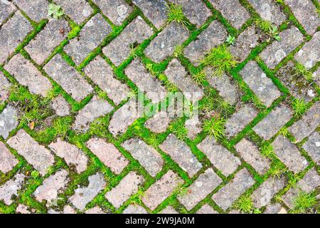 Primo piano di un'ampia sezione di pavimentazione monoblocco lasciata incustodita per un certo periodo di tempo con muschi ed erba che crescono tra le crepe tra i mattoni Foto Stock