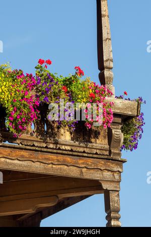 Fiori estivi, petunie (Petunia) e gerani (Pelargonium) su un balcone di una vecchia casa colonica, Reit im Winkl, alta Baviera, Baviera, Germania Foto Stock