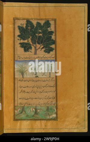 Zahir al-DIN Muhammad Babur - alberi da dattero dell'Hindustan Foto Stock