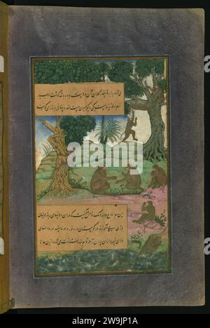 Zahir al-DIN Muhammad Babur - animali di Hindustan - scimmie chiamate Bandar che possono essere insegnate a fare trucchi Foto Stock