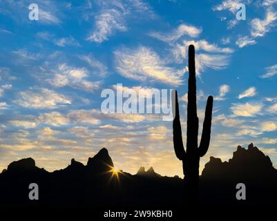 Alba sulle Kofa Mountains, Arizona Foto Stock