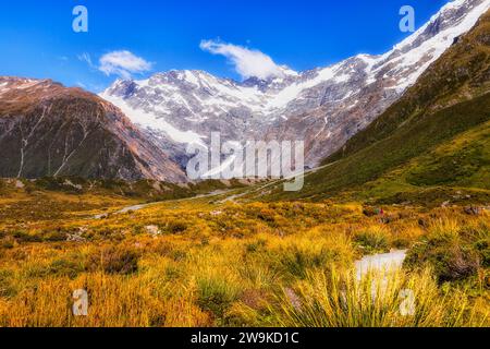 Prati erbosi di una valle panoramica lungo il fiume Hooker nel parco nazionale di Mount Cook in nuova Zelanda. Foto Stock