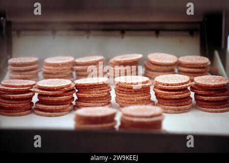 Assembla la linea, stabilimento di produzione che produce hamburger surgelati per l'industria dei fast food Foto Stock