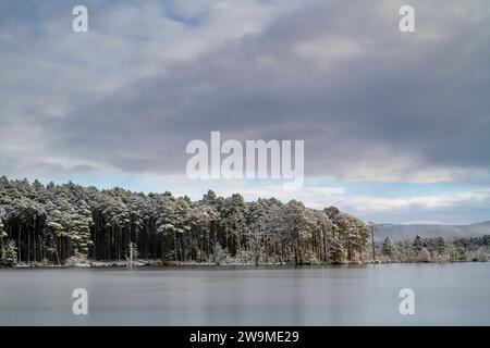 Loch Mallachie nella neve, nebbia e ghiaccio, Highlands, Scozia Foto Stock