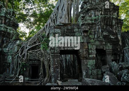 Tempio di Tomb Raider, Ta Prohm, Templi di Angkor Foto Stock