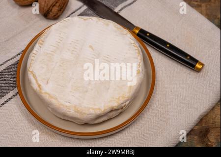 Formaggio Camembert morbido francese, originale Camembert de Normandie con muffa bianca Foto Stock