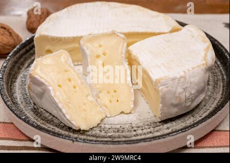 Formaggio Camembert morbido francese, originale Camembert de Normandie con muffa bianca Foto Stock